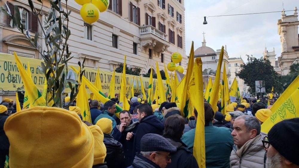 Coldiretti Imperia: incontro con i sindaci della provincia per il futuro dell’agricoltura locale