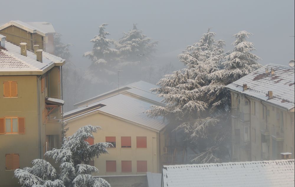 Possibile chiusura delle scuole a Tortona per la neve. Vi terremo aggiornati