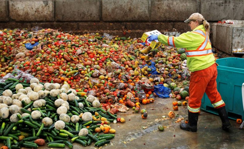 Oggi, 5 febbraio, si celebra la Giornata Nazionale Contro lo Spreco Alimentare: Troppo cibo nella spazzatura