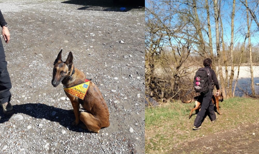 Tanti bocconi avvelenati nel Tortonese e Gaviese, scattano i controlli dei Forestali col cane