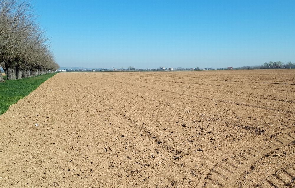 Anche in provincia di Alessandria è allarme siccità: semine primaverili in terreni aridi senza’acqua