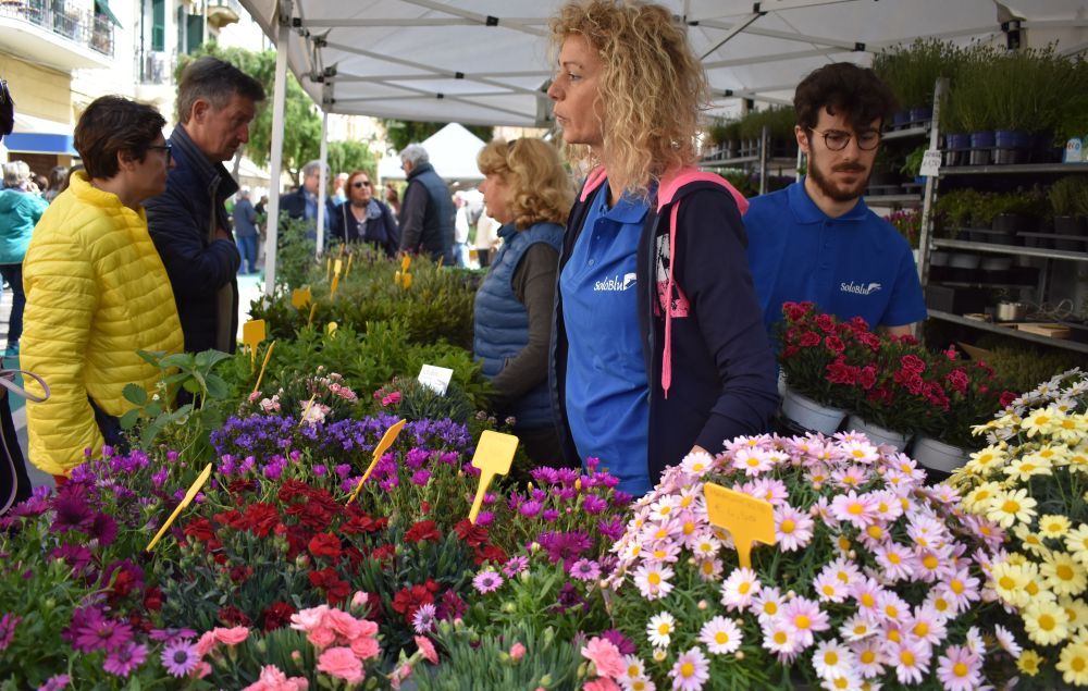 Aromatica a Diano Marina, iniziato il conto alla rovescia