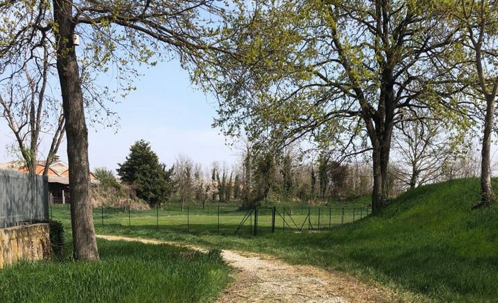 Sabato ad Alessandria si inaugura Uno spazio per i cani in via Rottigni