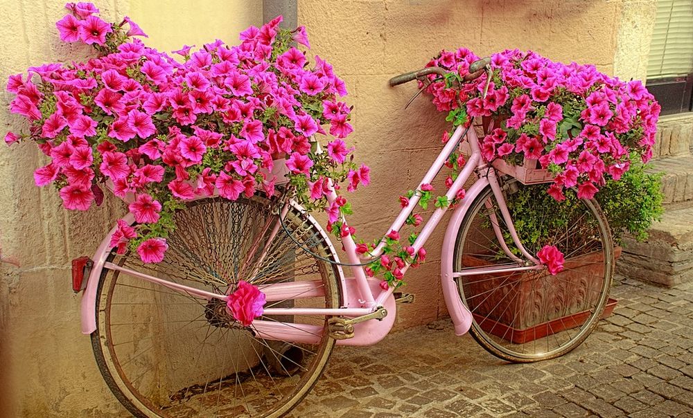 Sabato a Novi Ligure ci sono diverse manifestazioni