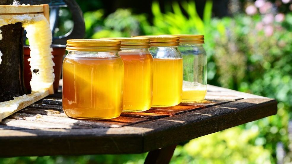 Alessandria, il maltempo non ha risparmiato gli alveari e fatto soffrire le api, compromessa l’acacia