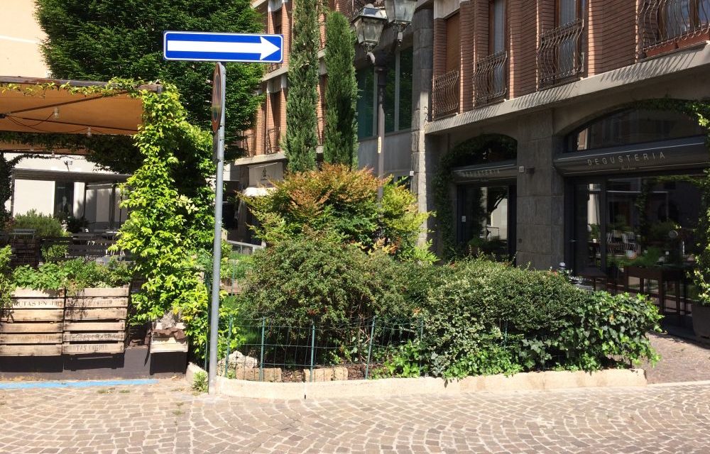 Rinviato a venerdì 24 il mercato delle erbe aromatiche in programma a Tortona in piazzetta de Amicis