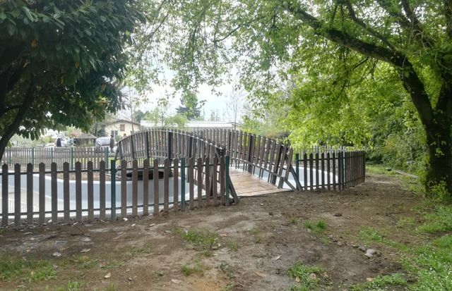 Uno stagno per la città, il progetto didattico-digitale nel Giardino Botanico “Dina Bellotti” di Alessandria