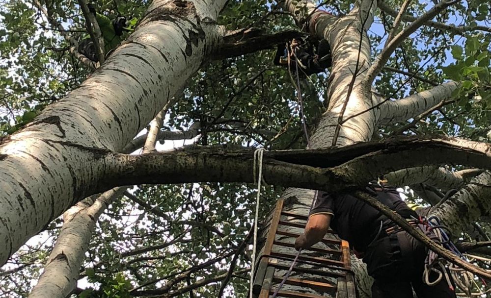 Fa parapendio e si schianta contro un albero in val Curone, rimanendo illeso. Salvato dai pompieri. Le immagini