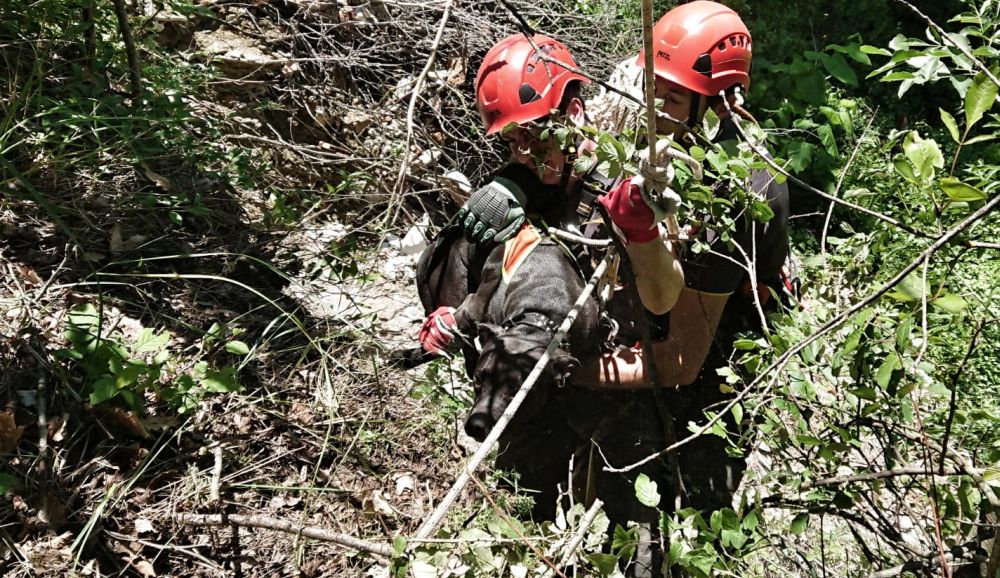 Due persone salvate dai Vigili del Fuoco di Acqui Terme