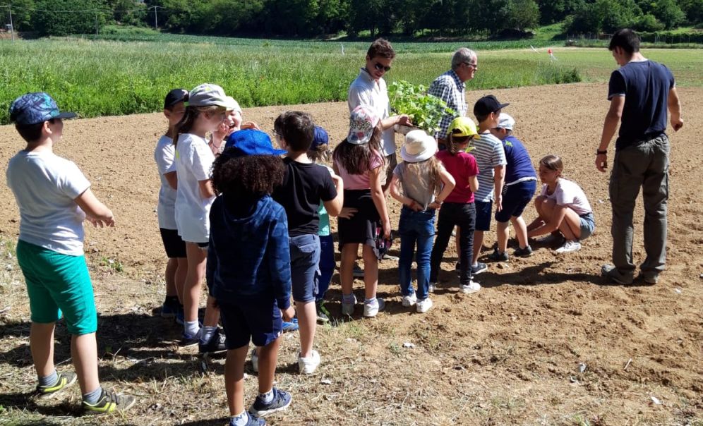 I ragazzi dell’Istituto “Ciampini” di Novi si sono cimentati in un’attività di peer education con la scuola elementare di Fresonara