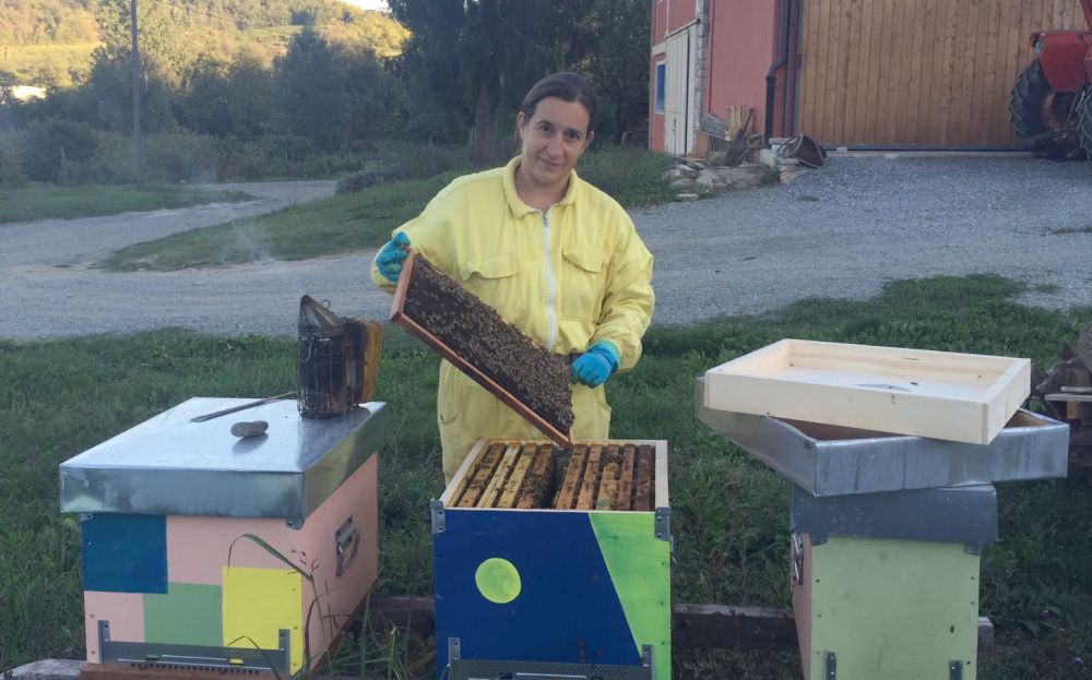 Maltempo, allarme per le api nell’acquese: “Dobbiamo nutrire le famiglie” dice DFaniela Ferrando