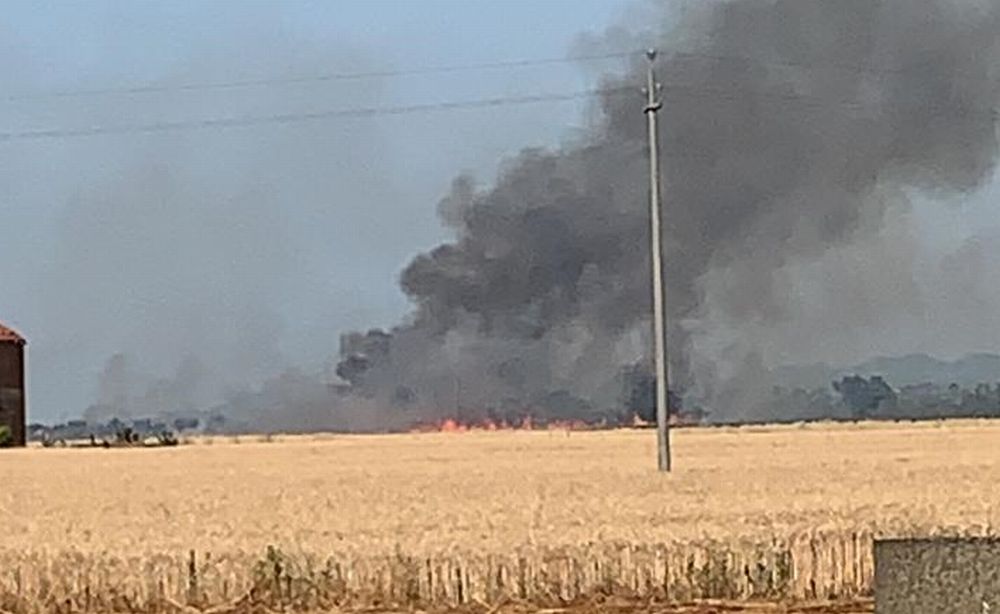 Un maxi incendio alla periferia di Tortona manda in fumo 8 ettari di grano. Le immagini