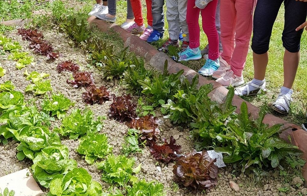 L’orto didattico della scuola Morbelli arriva al Mercato Coperto di Campagna Amica ad Alessandria