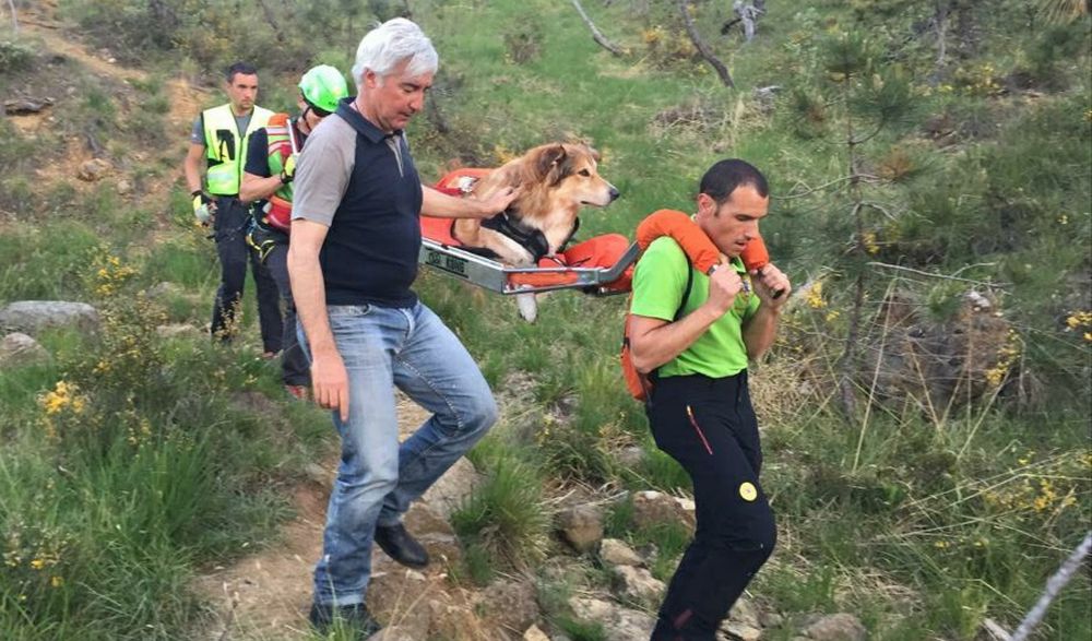 Il Soccorso Alpino di Alessandria salva un cane e 6 escursionisti sul monte Tobbio