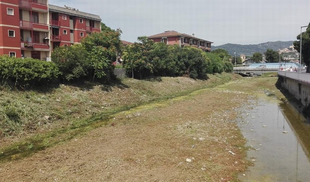 A Diano Marina le pulizie nel Torrente San Pietro fatte fuori tempo ammazzano gli animali