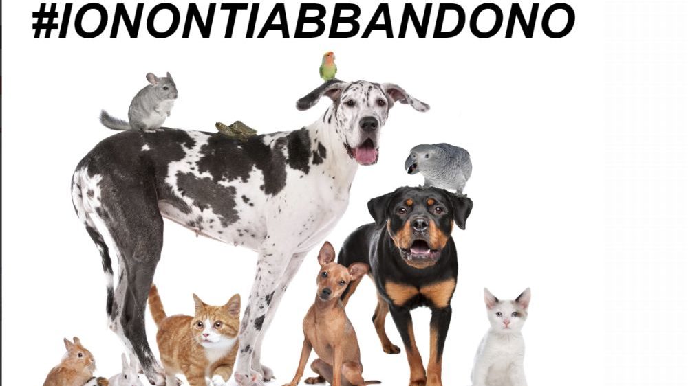 Il Comune di Tortona lancia una Campagna contro l’abbandono degli animali
