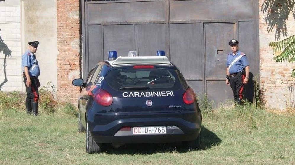 I carabinieri scoprono 16 cani in un canile abusivo a Viguzzolo rinchiusi in piccole gabbie e denutriti, gestore denunciato