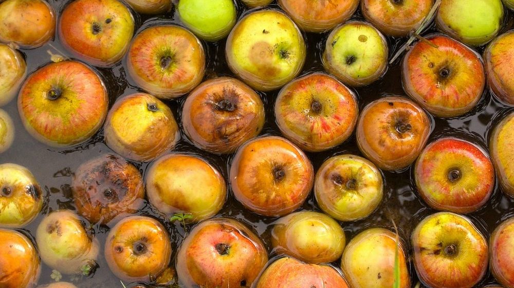 Dal camion fermo in autogrill escono liquami: Frutta marcia destinata ad impianti di lavorazione per succhi di frutta! Accade a Ovada