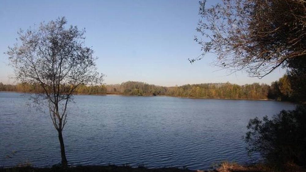 Appello dell’Ente di gestione delle Aree protette del Po piemontese alle aziende agricole