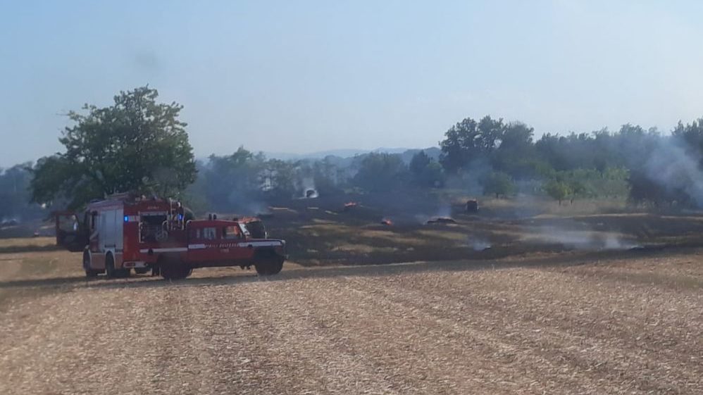 Incendio a questo campo di grano a Basaluzzo, tre ore l’intervento dei pompieri