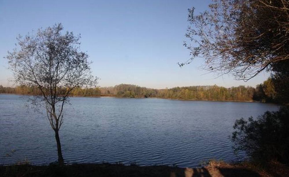 Venerdì 8 novembre c’è Insieme al Po: rivivere il fiume a Casale Monferrato e nel casalese