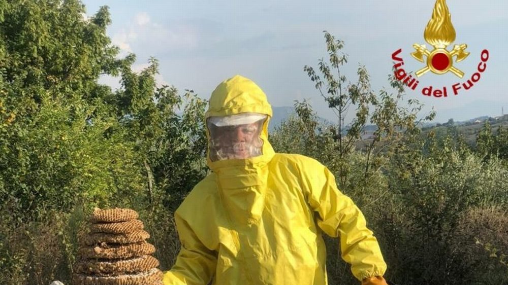 Alla festa a San Sebastiano Curone arrivano anche i calabroni e intervengono i pompieri