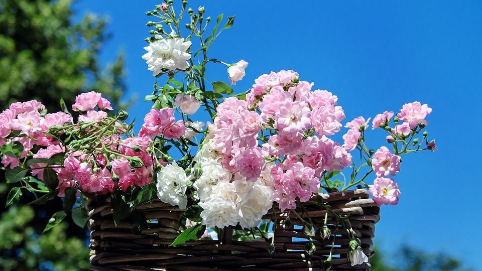 Nel week end c’è la Festa Patronale di Rivarone