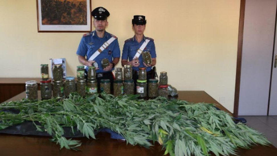 60enne novese coltivava questa marijuana nel giardino di casa