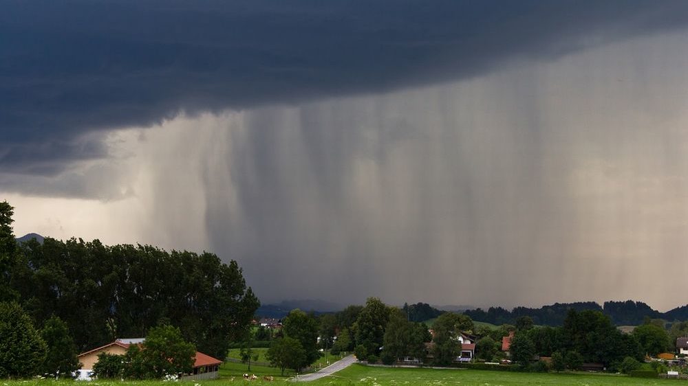 Violento temporale ad Alessandria, acqua anche nel seminterrato dell’ospedale, alberi caduti e…