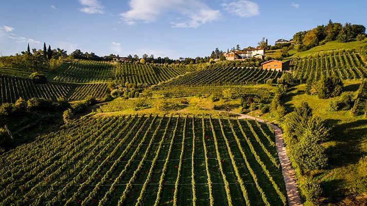 Strada del Vino Valcalepio  meta del turismo: quello che non fa a sufficienza la Strada del vino dei colli tortonesi….
