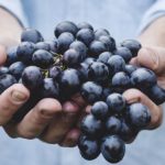 Sfruttamento e lavoro nero nella vendemmia: blitz a Casale Monferrato, denunciati due “caporali”