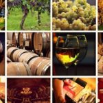 Il futuro del settore vitivinicolo piemontese: appuntamento a Gavi con Cia Alessandria-Asti