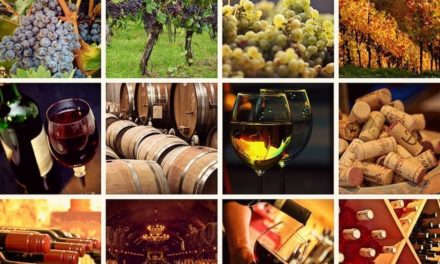 Il futuro del settore vitivinicolo piemontese: appuntamento a Gavi con Cia Alessandria-Asti