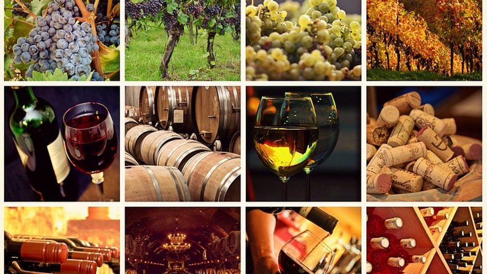 Acqui, Casale e Ovada nella strada del vino del gran Monferrato, ma Tortona….