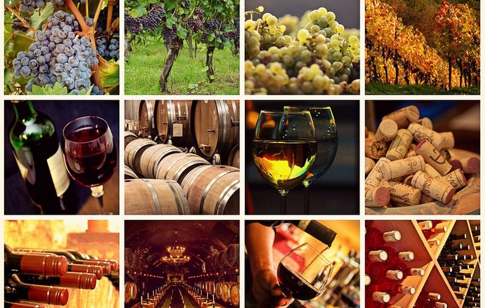 Una decina di locali delle valli dianesi in prima linea per promuovere prodotti locali e territorio