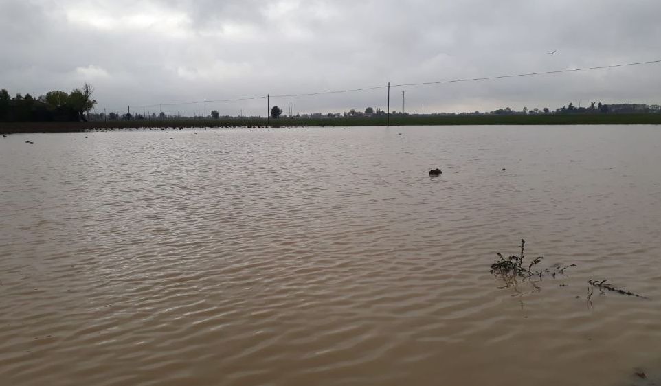 Confagricoltura Alessandria sul maltempo: i danni maggiori dove non c’è presidio del territorio
