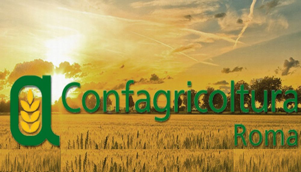 Confagricoltura Alessandria:  al via le Assemblee di Zona per delineare l’azione sindacale