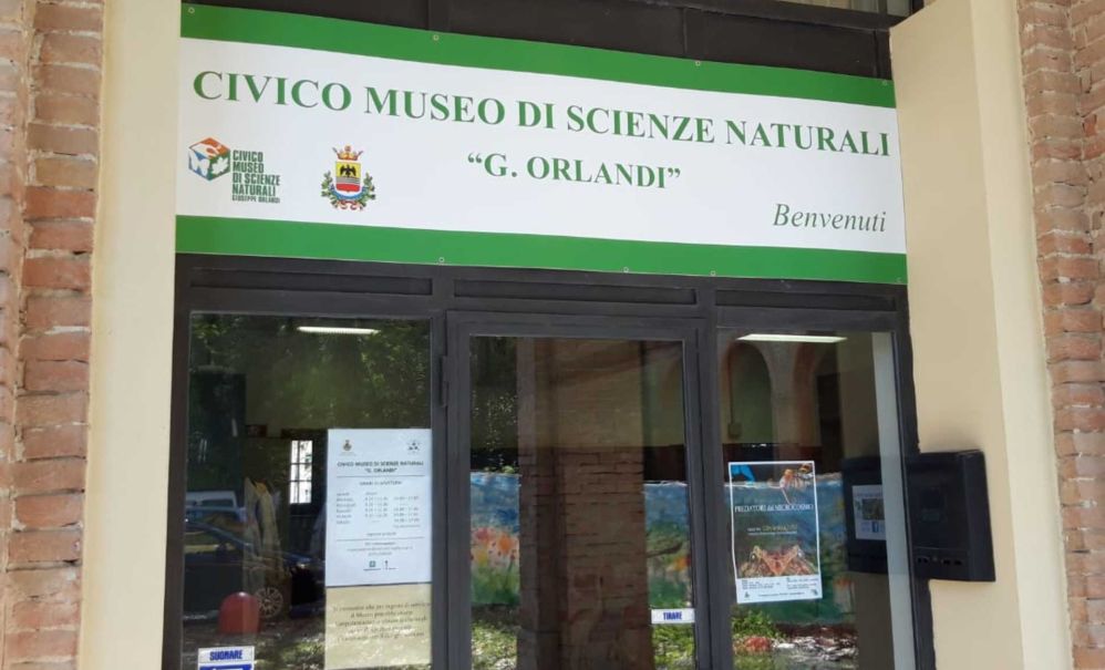 Ha riaperto il Civico Museo di Scienze Naturali di Voghera