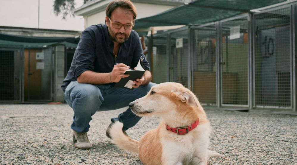 Sabato ad Alessandria una mostra di cani di Alessandro Guasco