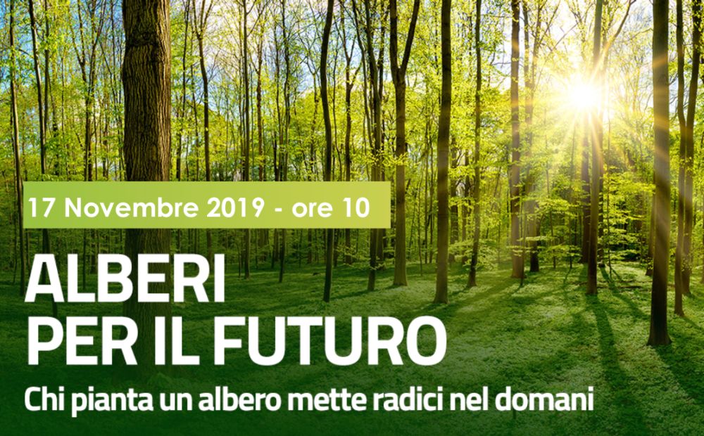 I Cinquestelle regalano 10 platani al Comune di Alessandria. Verranno piantati domenica