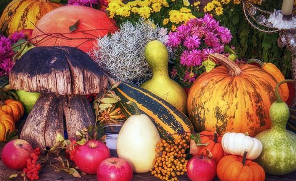 Domenica a Cartosio c’è l’Autunno fruttuoso