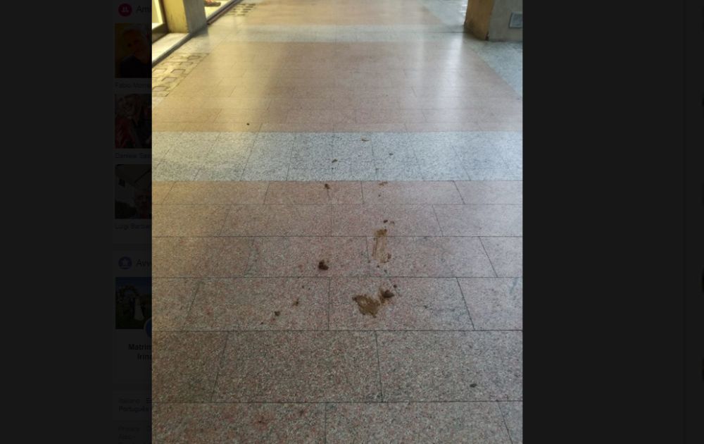 Padroni dei cani immerdano i portici di Tortona, il salotto buono della città. Pulire no?