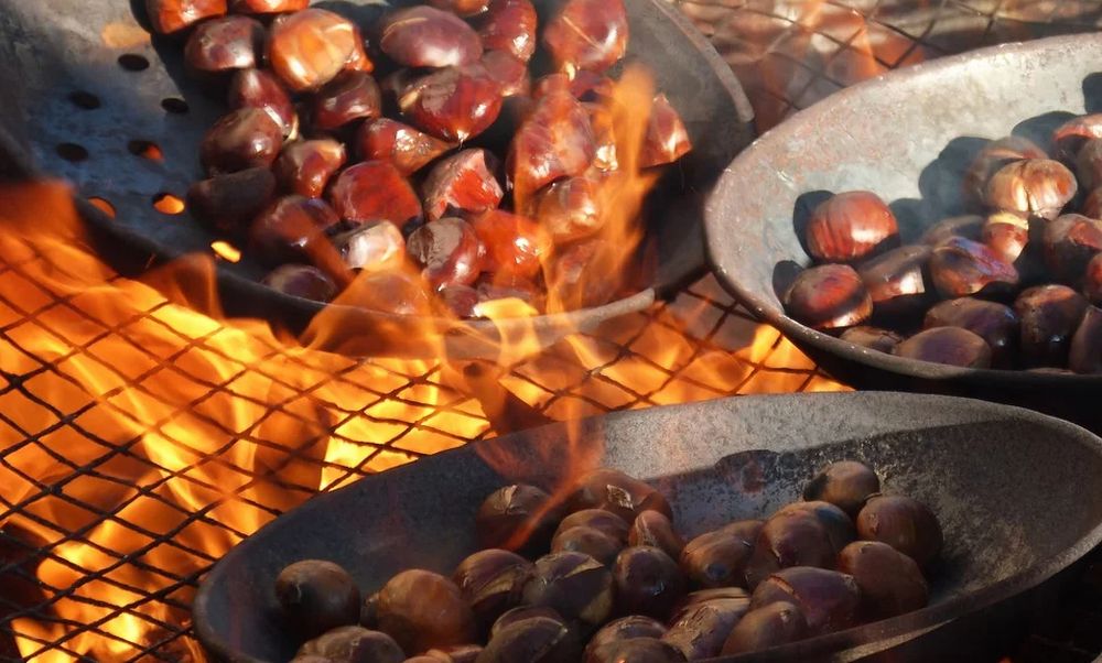 A Taggia domenica torna la Festa della Castagna con tanti eventi