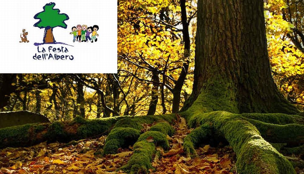 A Tortona la Festa dell’albero si celebra solo con un seminario per i bambini presso un privato e in Biblioteca, davvero poco