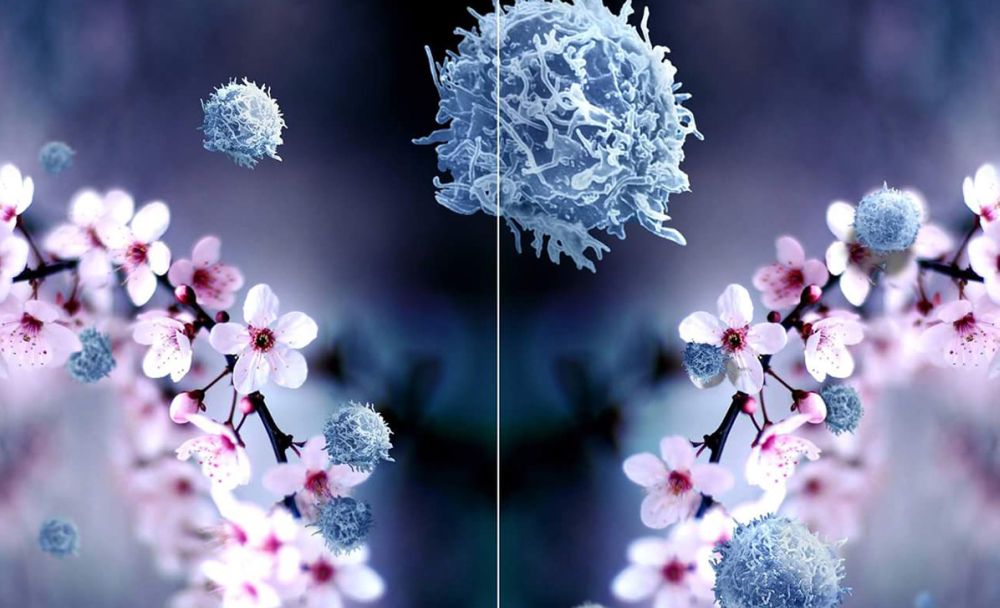 A Diano marina per le vacanze di dicembre una mostra di alto livello al palazzo del parco