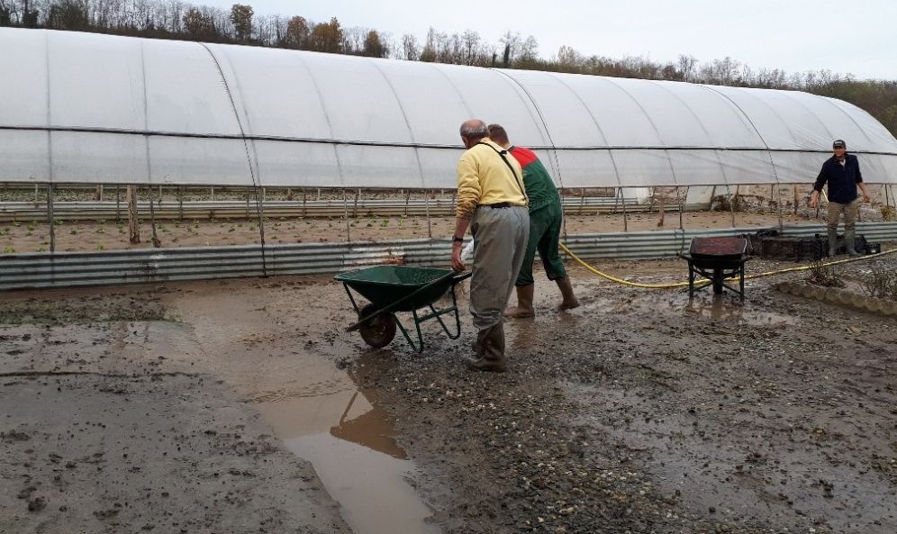 Ortaggi: l’ “effetto maltempo” si fa sentire sul carrello della spesa, la situazione resta difficile