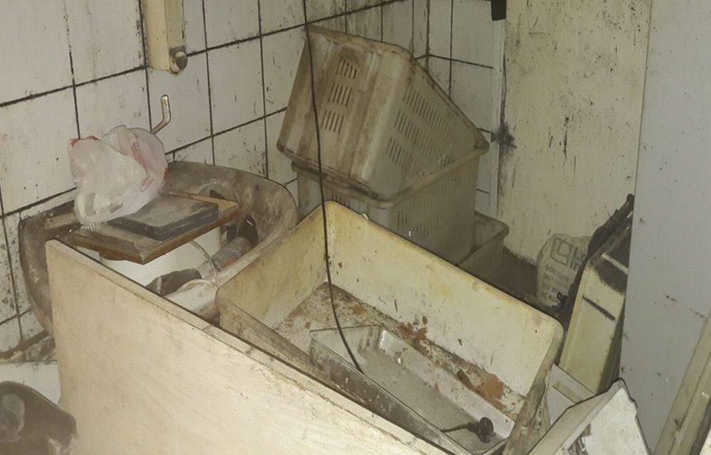 Imperia. Operazione Alto Impatto. Scovato un laboratorio abusivo di panetteria con questo schifo: sospesa l’attività.