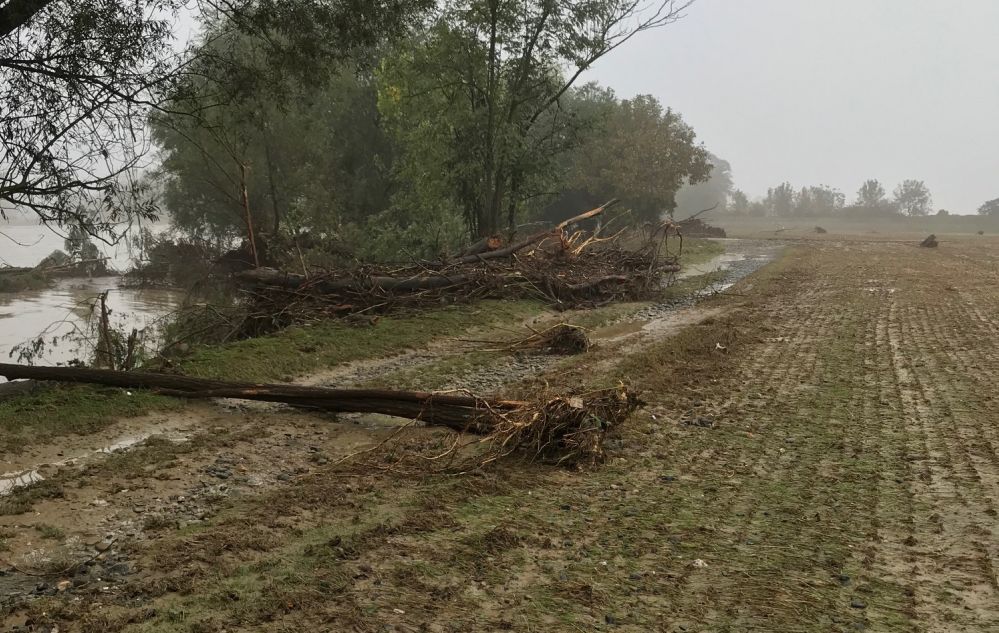 Il problema delle semine alessandrine di pianura Terreni in sofferenza, la provincia è indietro rispetto alle altre piemontesi