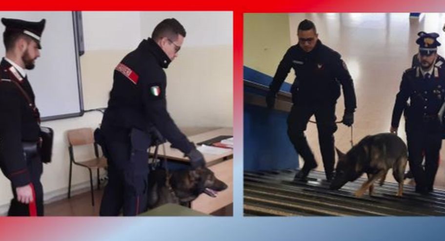 I carabinieri di Imperia nelle scuole con unità cinofile