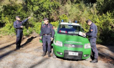 fiuti abbandonati a Serravalle Scrivia, intervengono i Carabinieri Forestali